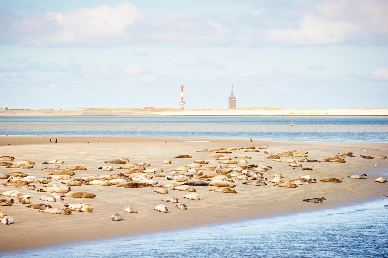 Wangerooge Island Jugendherberge Wangerooge المظهر الخارجي الصورة